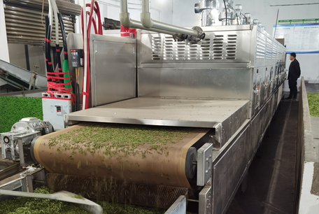 茶叶微波杀青设备