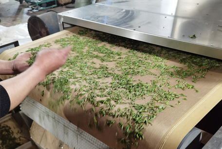 茶叶微波杀青设备