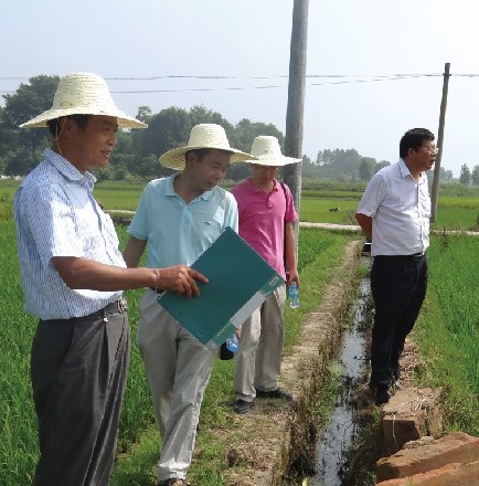 中国水稻所 著名育种专家马良勇在公司育种基地