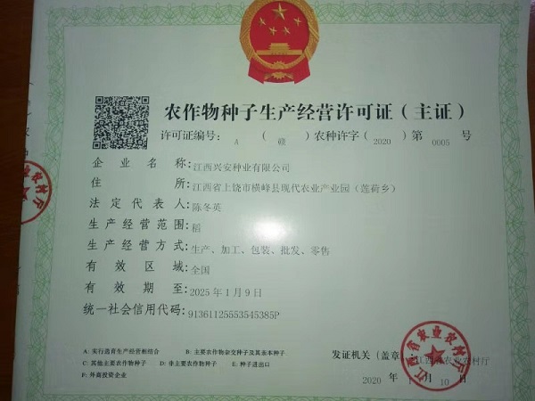 磨砺十年终成大器-1