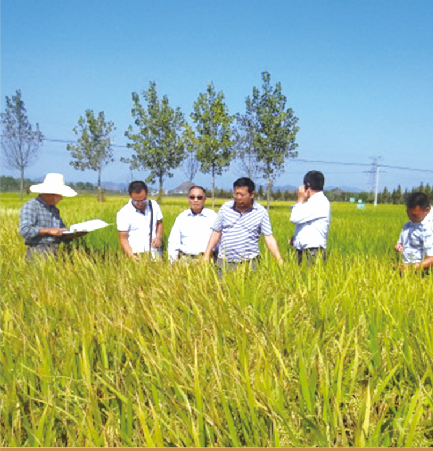 _DZ61vGHQWKoQOz9wx8HeQ