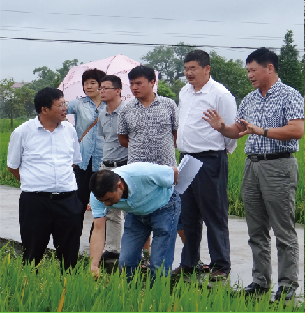 中国水稻研究所副所长李西明来我公司指导工作