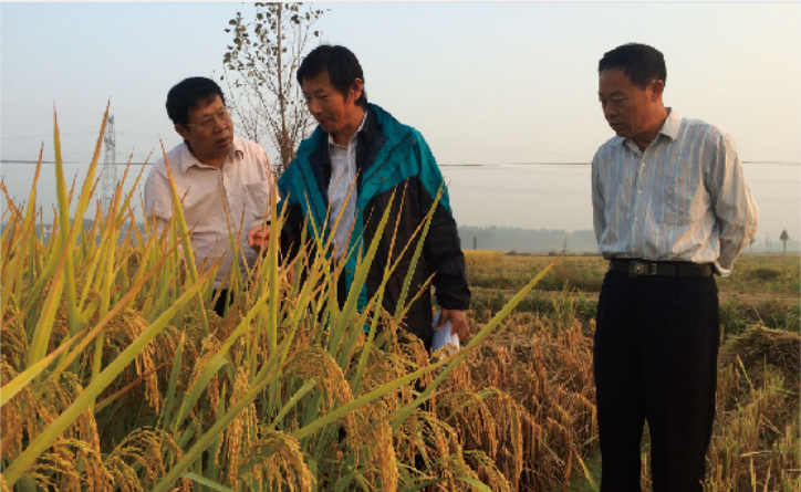 YhVANmMcT5WYGGKQJoSFKQ