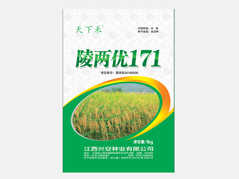 陵两优171