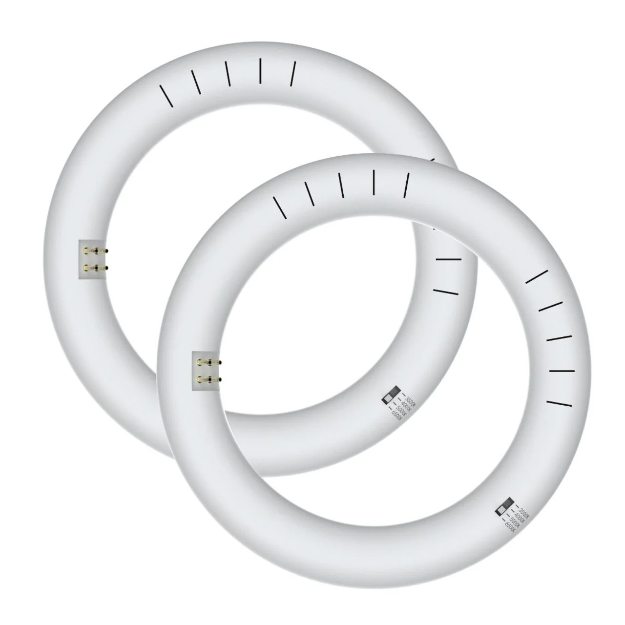 8in. LED T9 Circline Tube Lamp