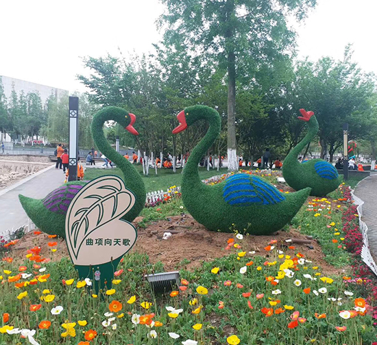 五色草造型设计2