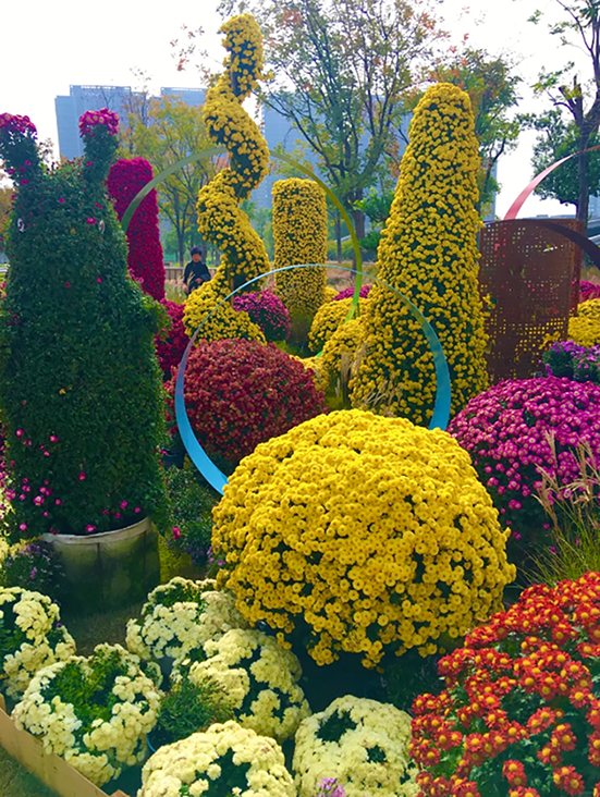 96d552c83ea018743722bdbed11361c2