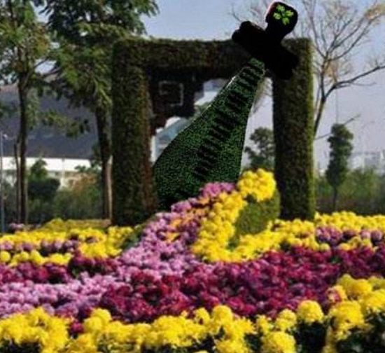 菊韵华章·秋满庭芳