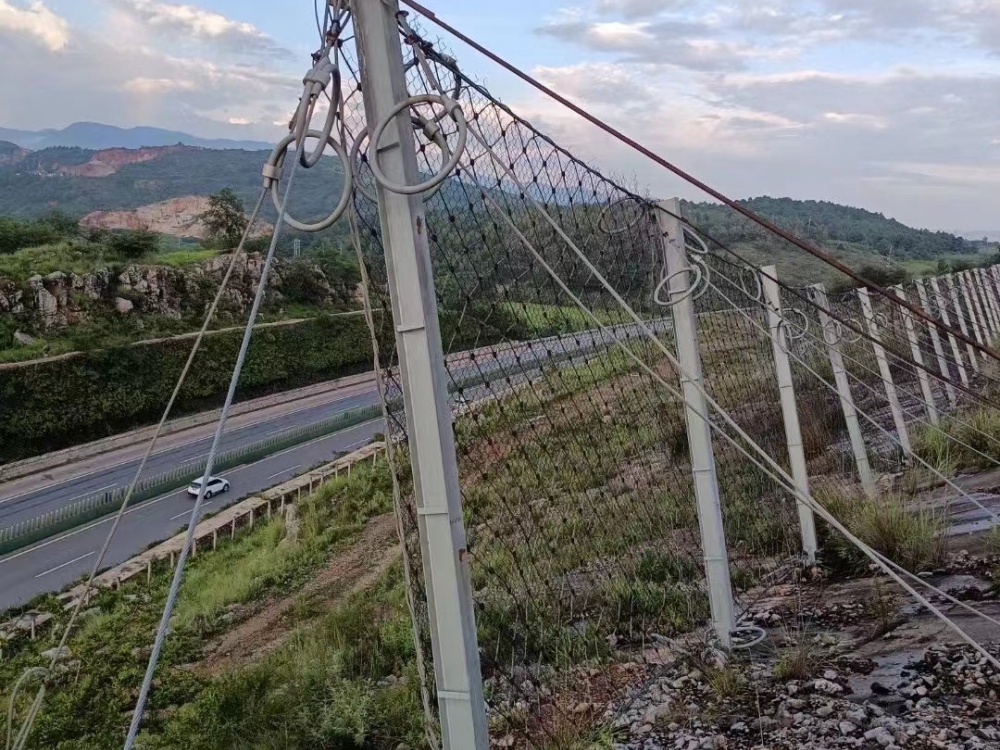 被动边坡防护网