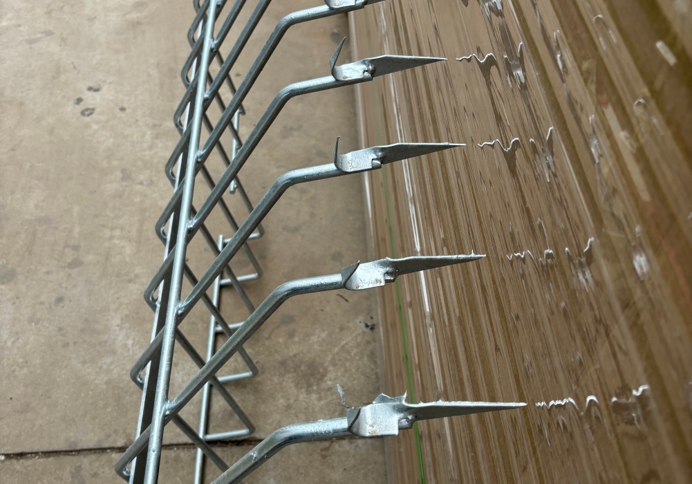 微信图片_20260202224115_383_818