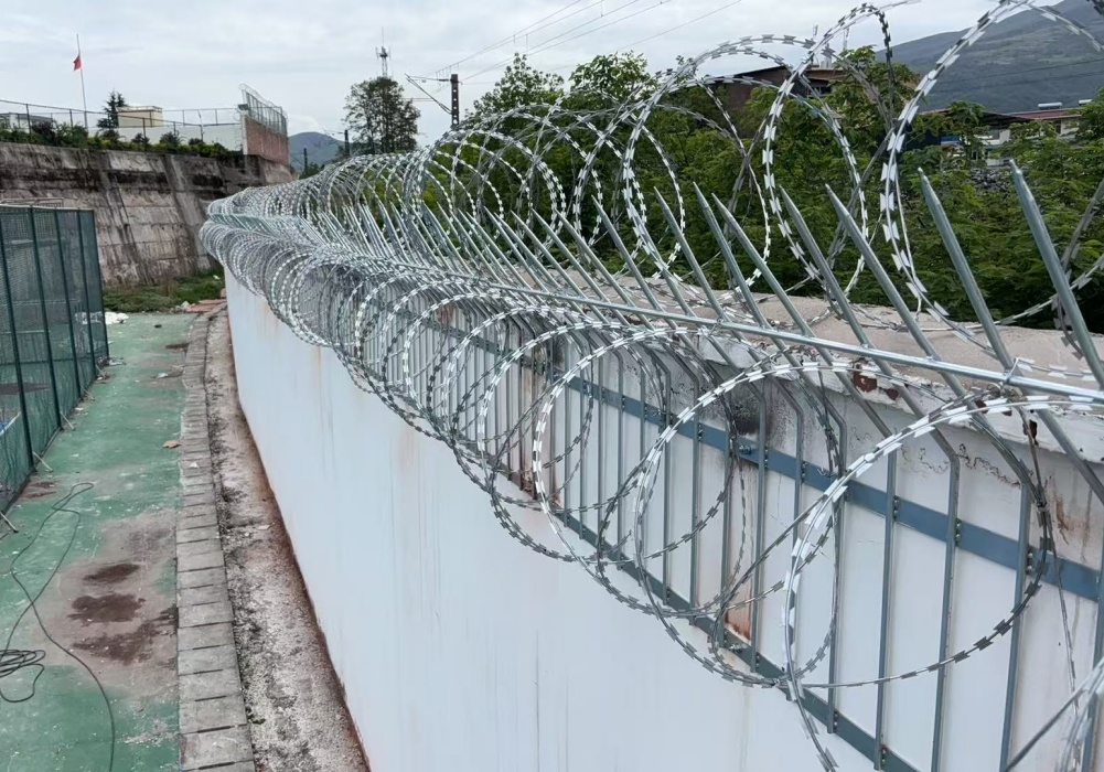 微信图片_20260202224127_388_818