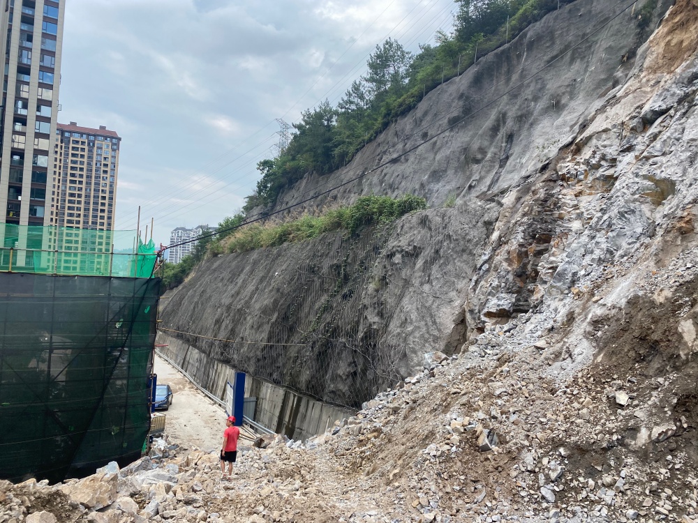 被动边坡防护网