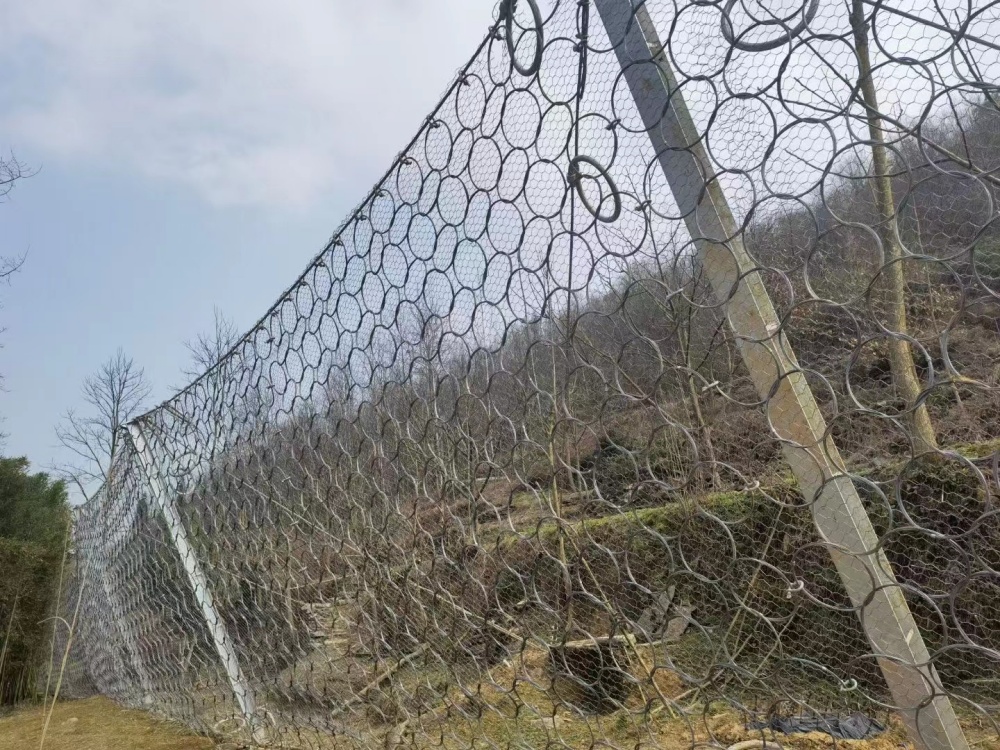 被动边坡防护网