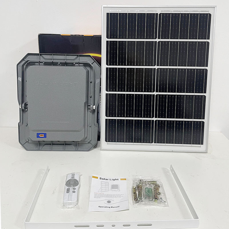 Renes' new solar floodlight with surveillance video recording 4G HD 4MP