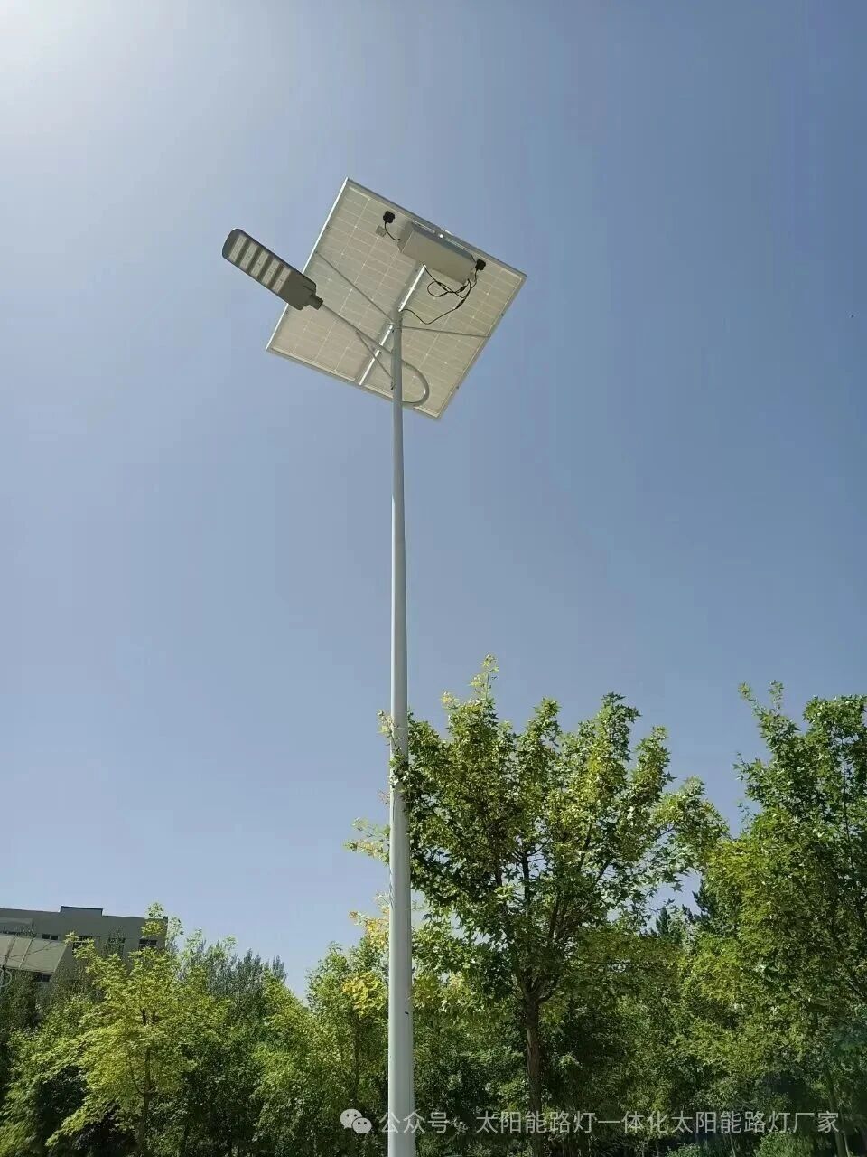 2026 Solar Street Light Industry Trends & Technological Innovations: Shaping the Future of Zero-Carbon Lighting
