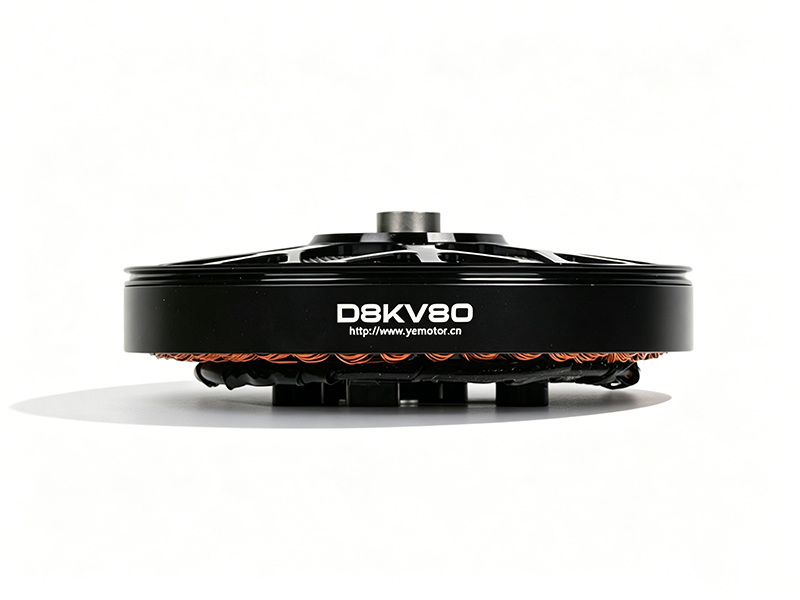 D81