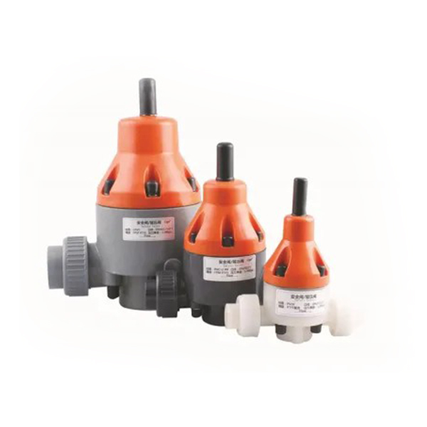 Safety Valve and Back Pressure Valve