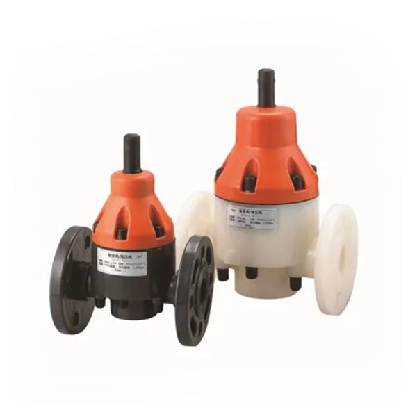 Safety Valve and Back Pressure Valve