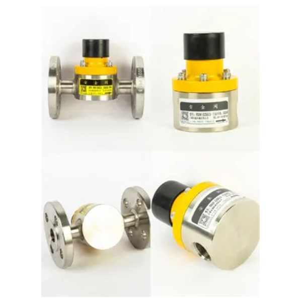 Safety Valve and Back Pressure Valve