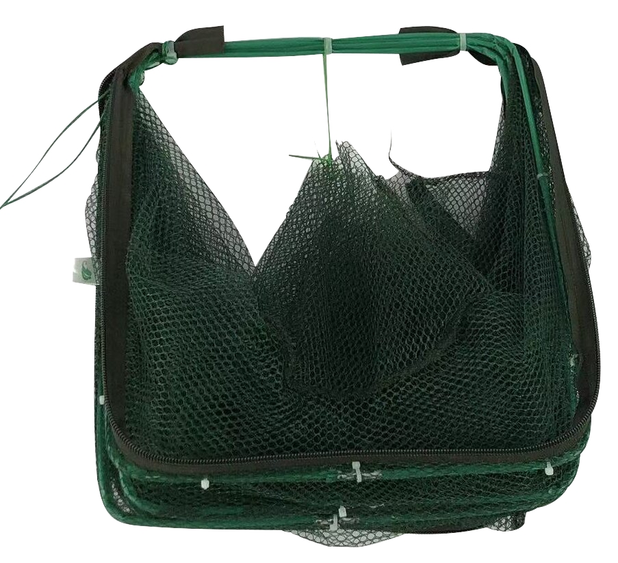 微信图片_20250930165054_7_8 - 副本