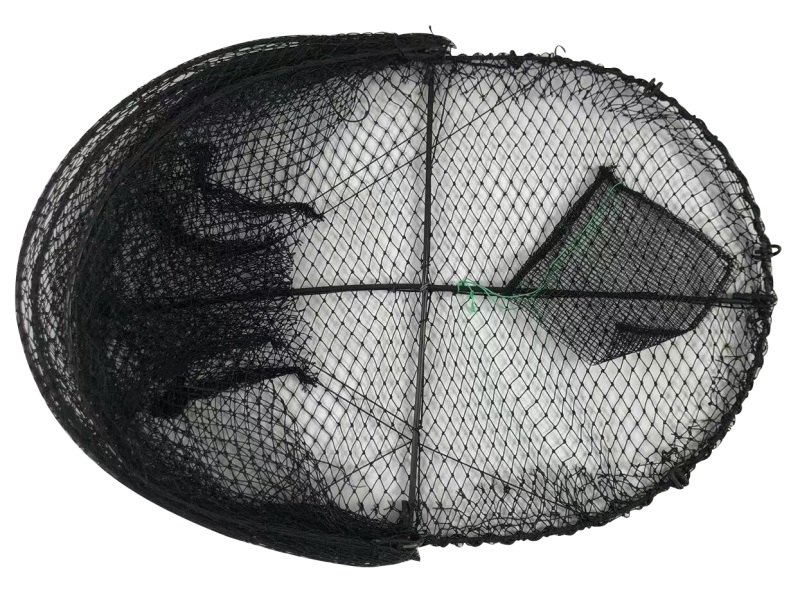 微信图片_20251003162355_88_8 - 副本(1)