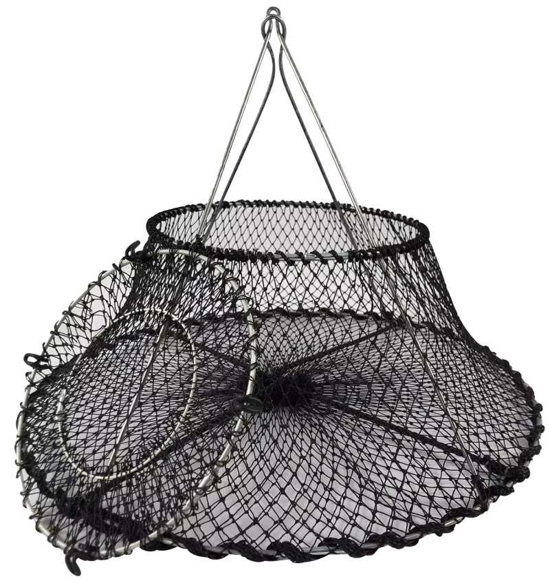 O1CN01y0ZuyE1zY6ev6cmXR_!!301786725-0-ampmedia(1)