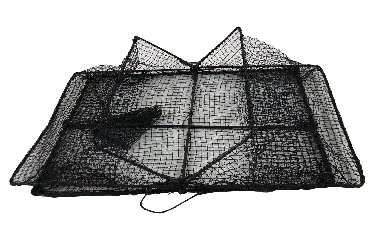 微信图片_20251001152600_42_8 - 副本