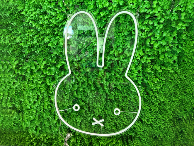 Customized LED Split Neon Lights