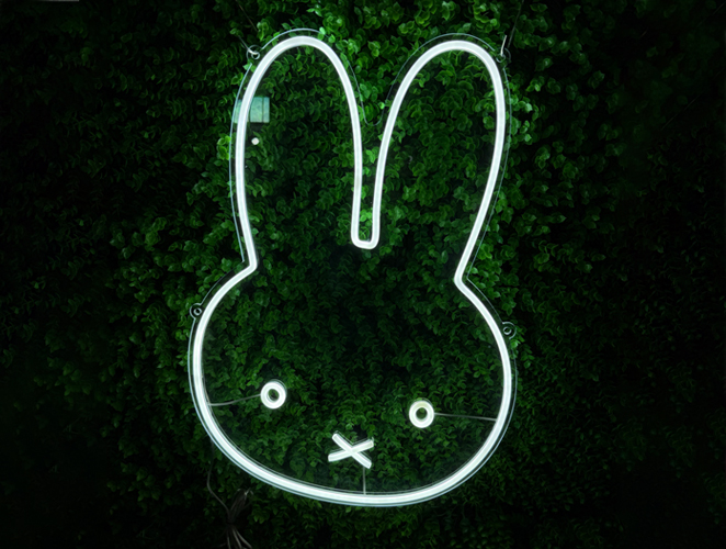 Customized LED Split Neon Lights