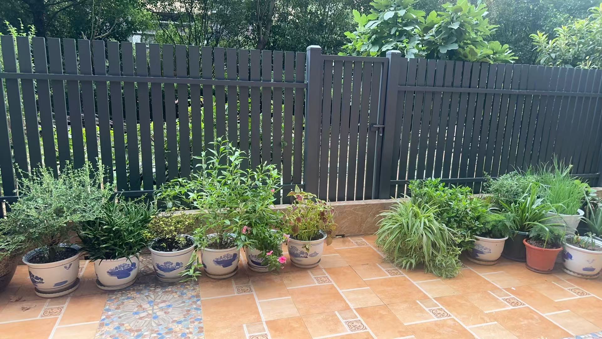 073672369acd47747480e1cf4374e116