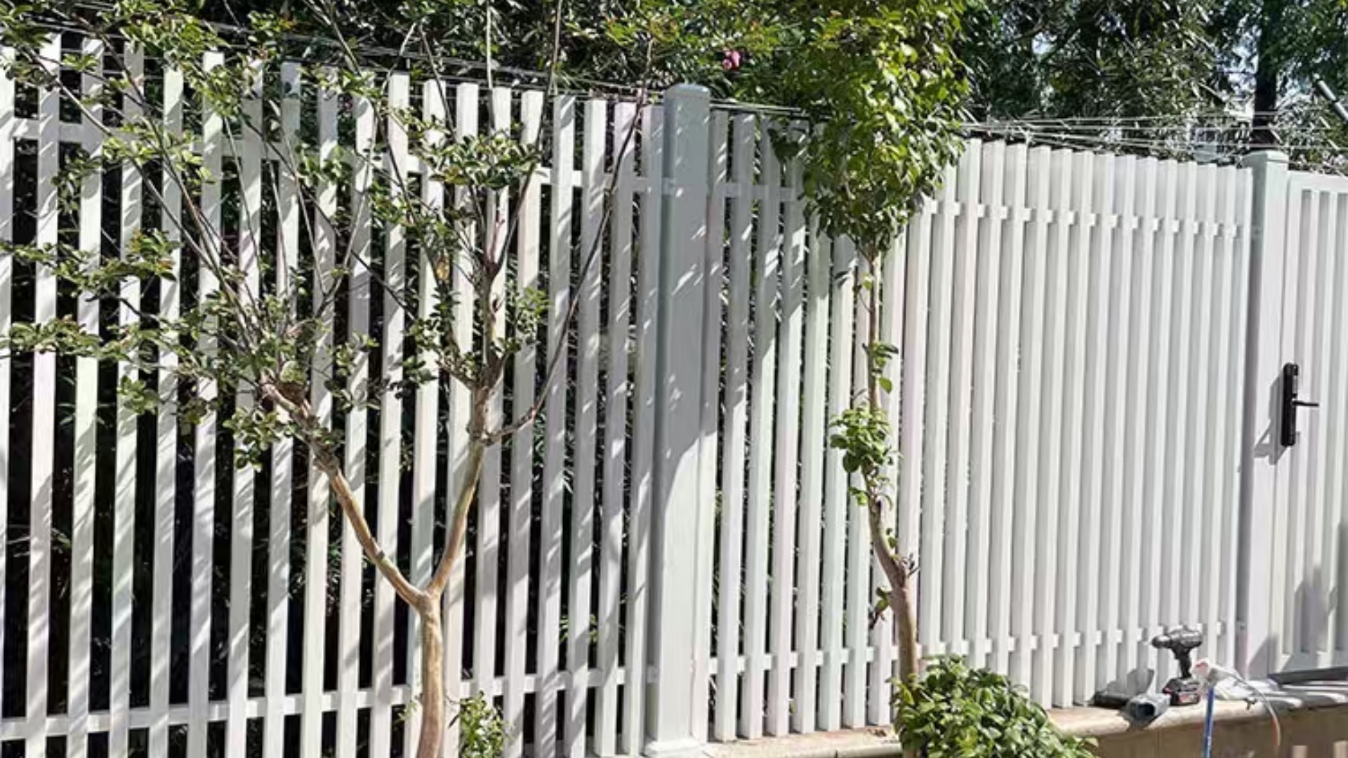 微信图片_20250408150637