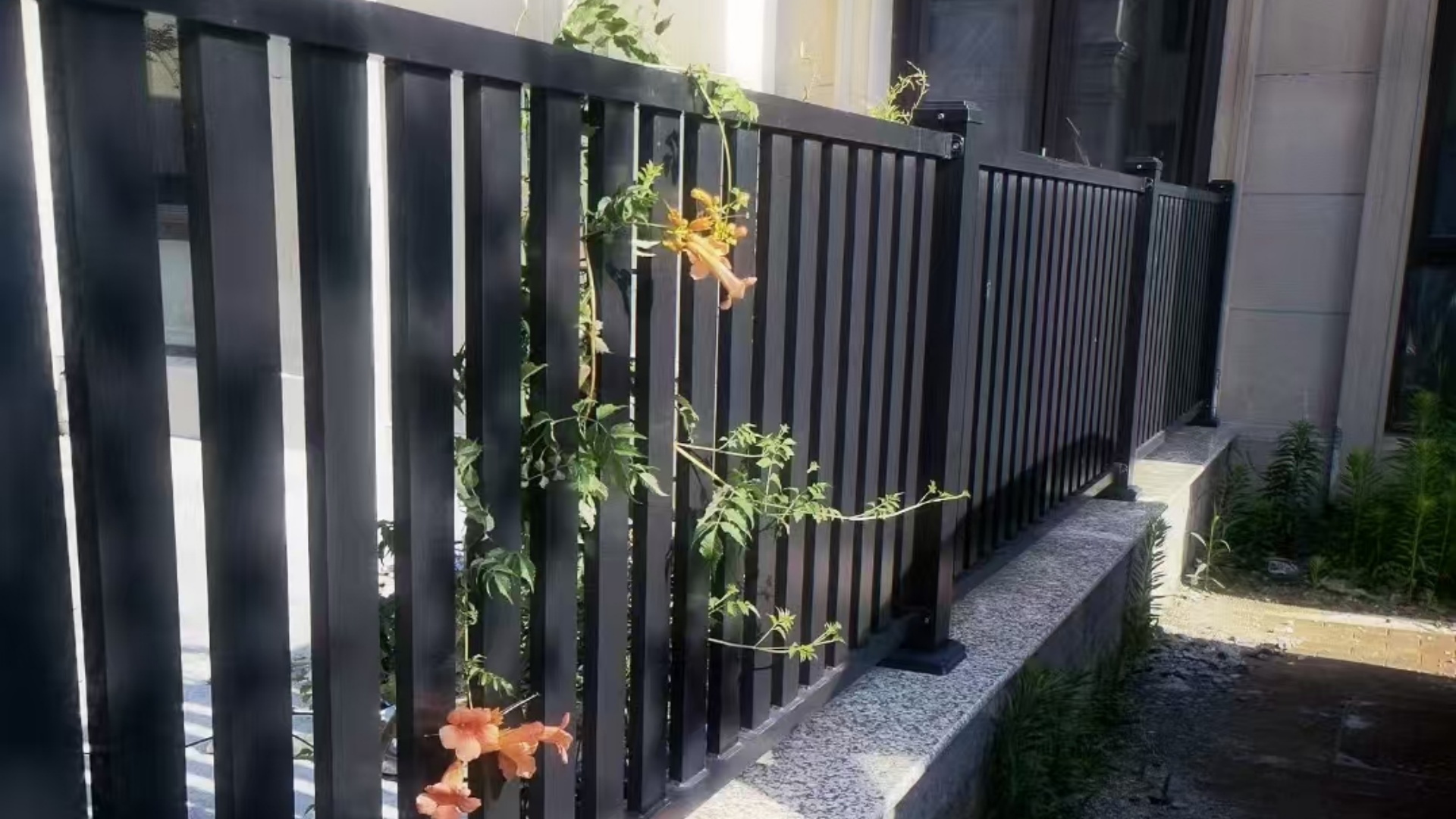 微信图片_20250408143834