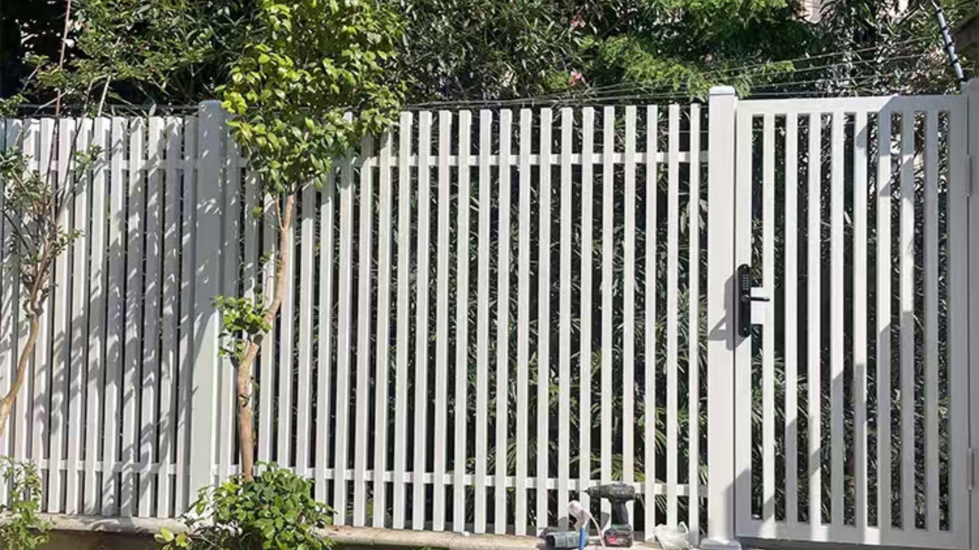 微信图片_202504081506381