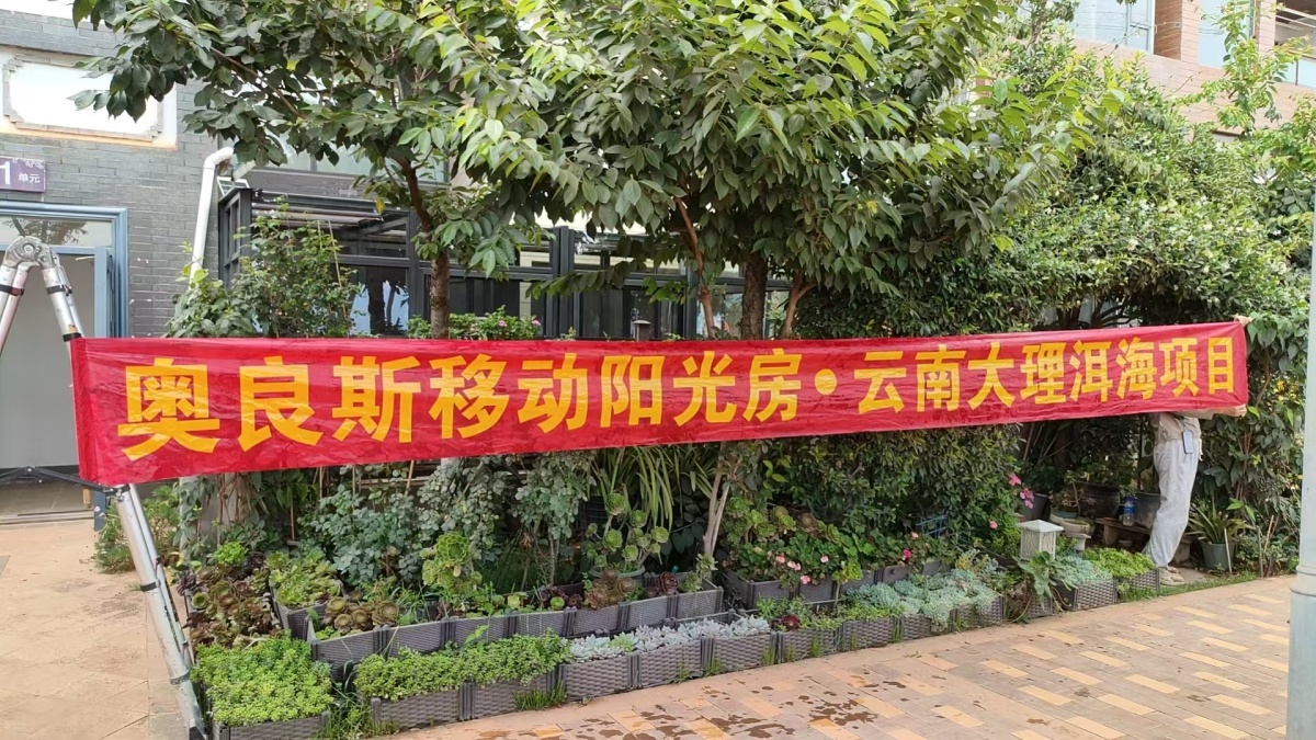 奥7
