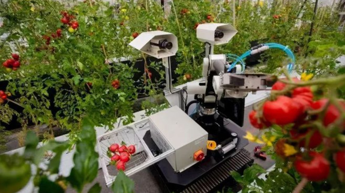 农林机器人换电锂电电源系统01