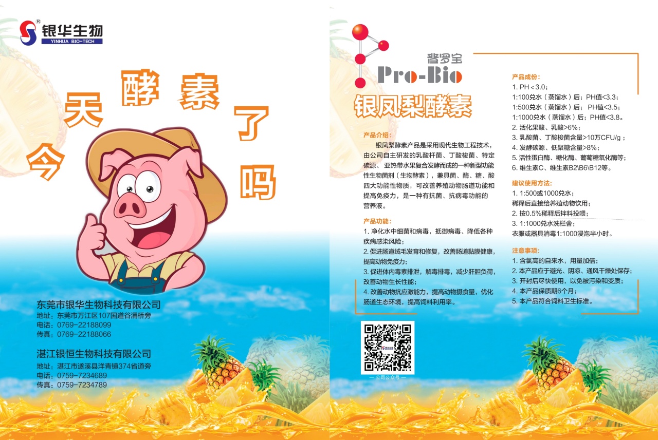 银凤梨酵素（猪）_副本