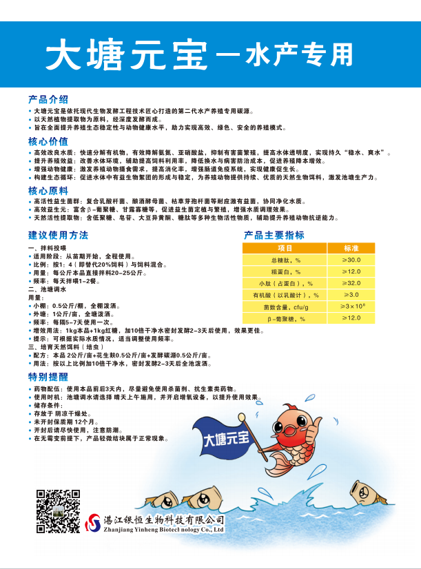大塘元宝2