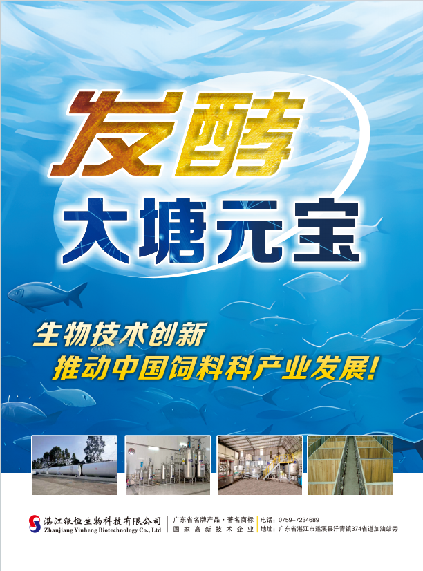 大塘元宝1
