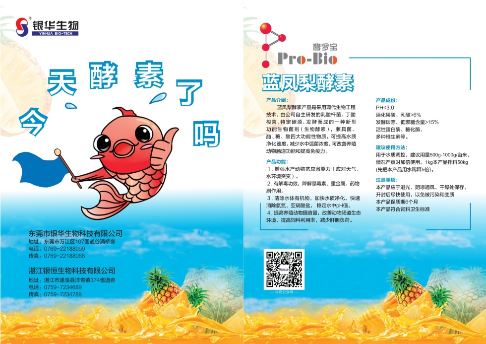 蓝凤梨酵素_副本