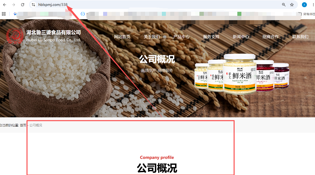 企业网站URL后缀用数字、中文还是英文？武汉网站建设公司谈SEO网址规范
