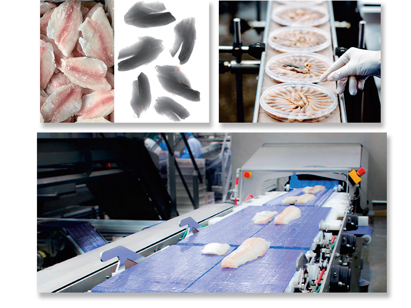 84d868ca969f7d667a50f12f67a0fd35