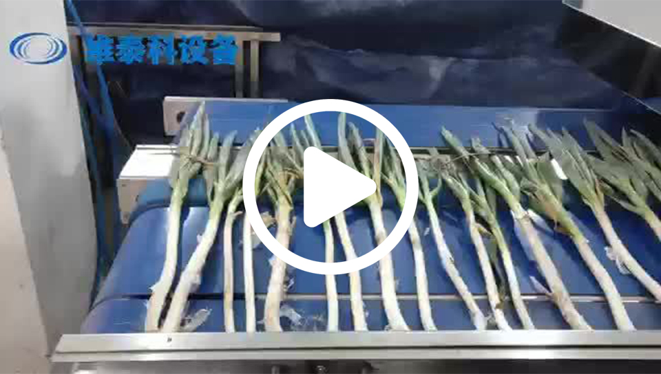 68d34c0a54e423de008b833351389718_0_b