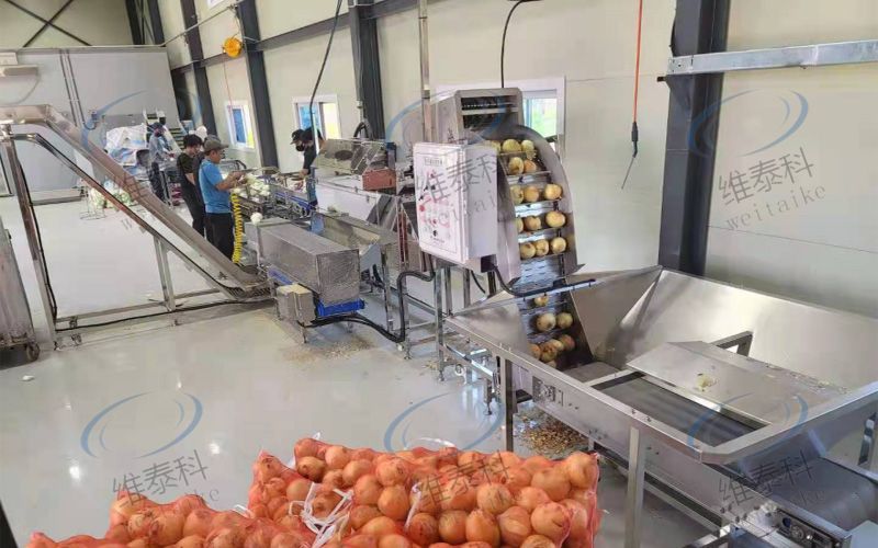 762c66e646b824e28927c58a8958c6de