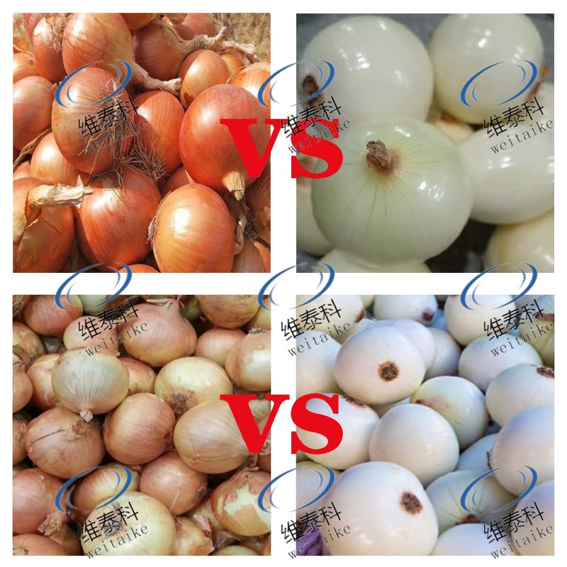 dd399decab7b637f0ed8d8828031c023