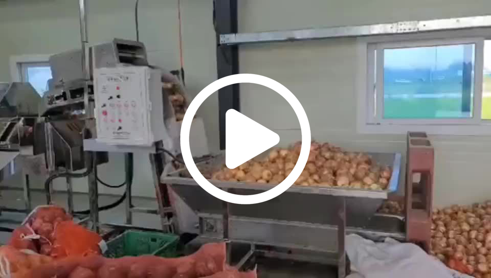 68d34c0a54c78a73c02785daf2fff332_0_b