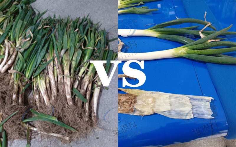 77763b3f45e675b970d560d08334a7bc