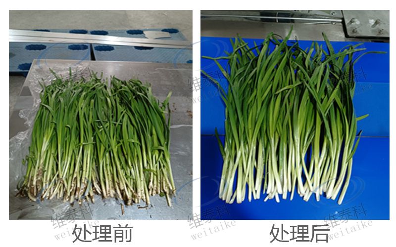 d66e3b2d2f288088c04ce060f67a0d54