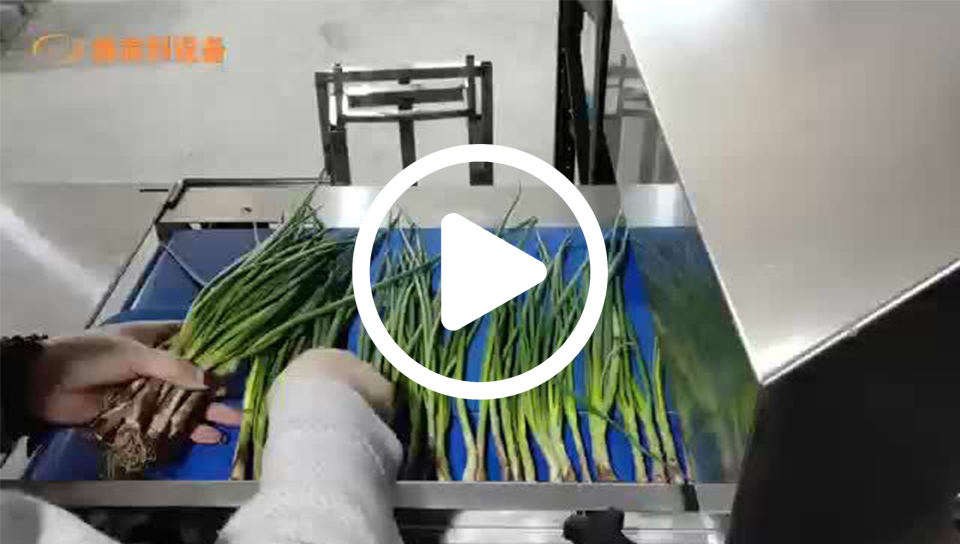 68d34c0a545f0eef2b90f209d2177892_0_b