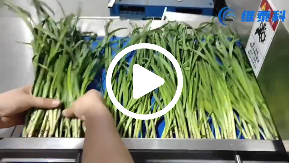 68d34c0a54b551cbf7738e32e4bea936_1_b