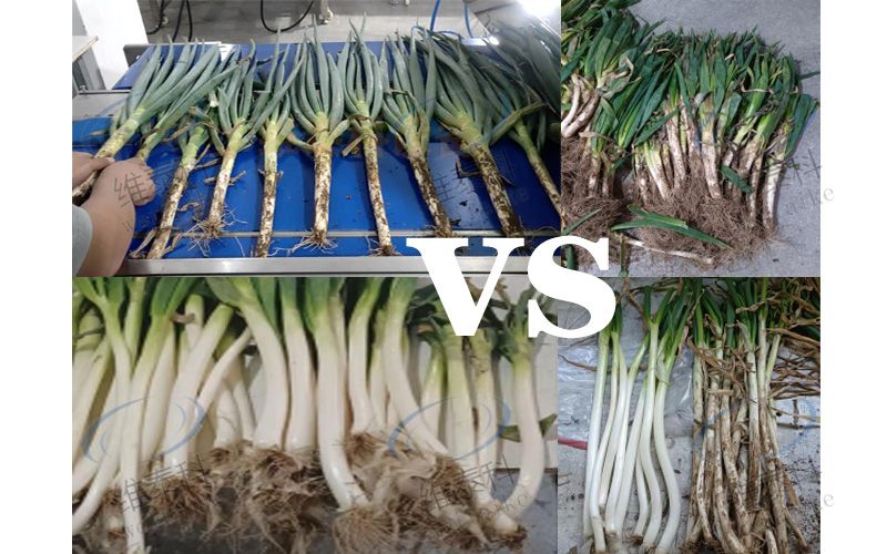 a155871c49f9ed35b511302fdf97bf70